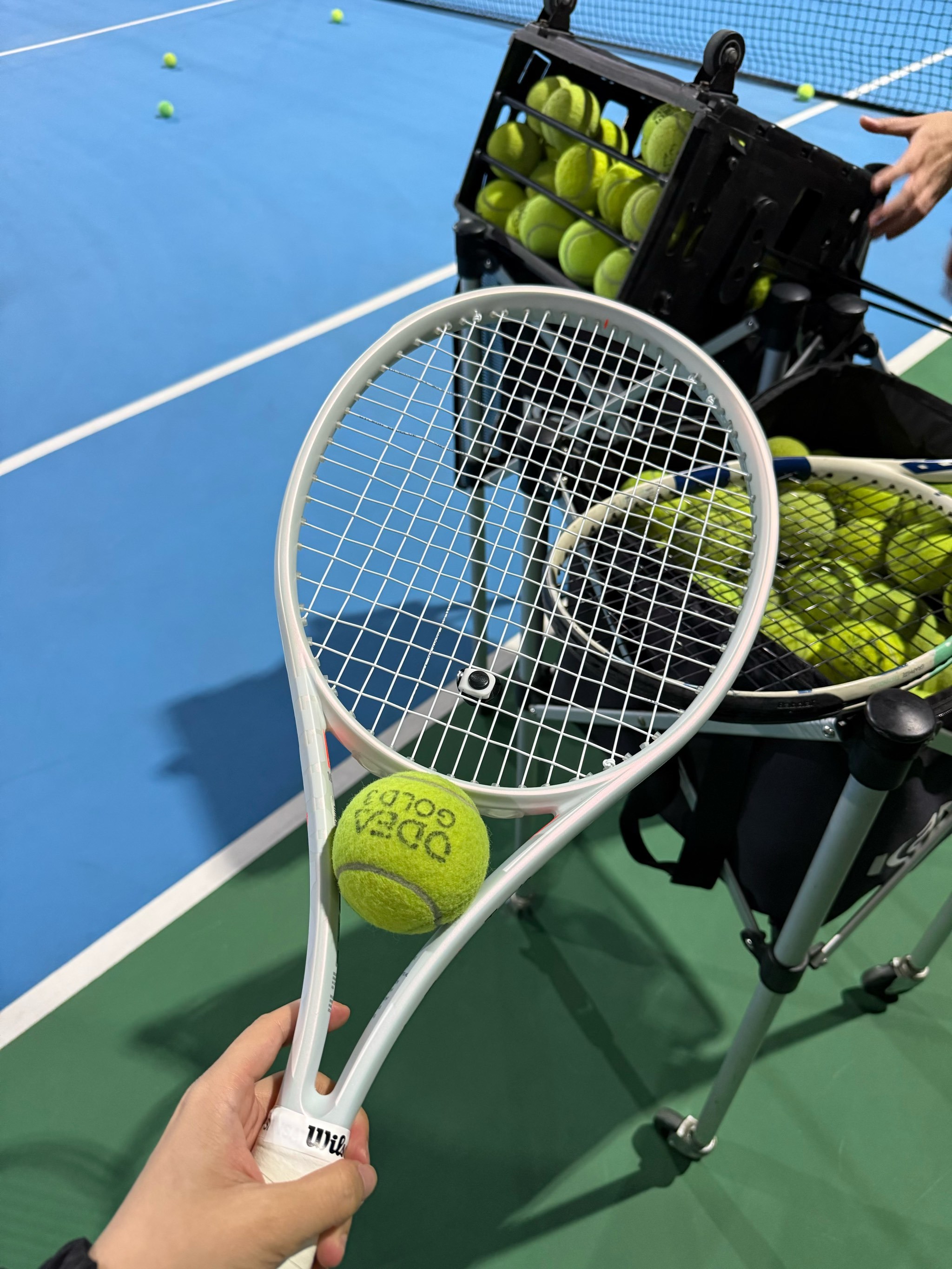 他用智慧和 他用智慧和